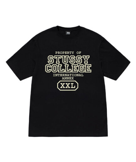 Property of Stussy T Shirt